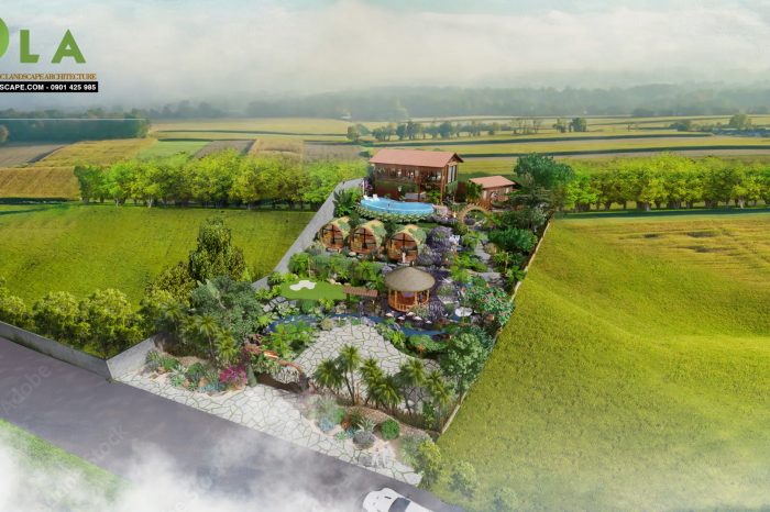 thiết kế homestay